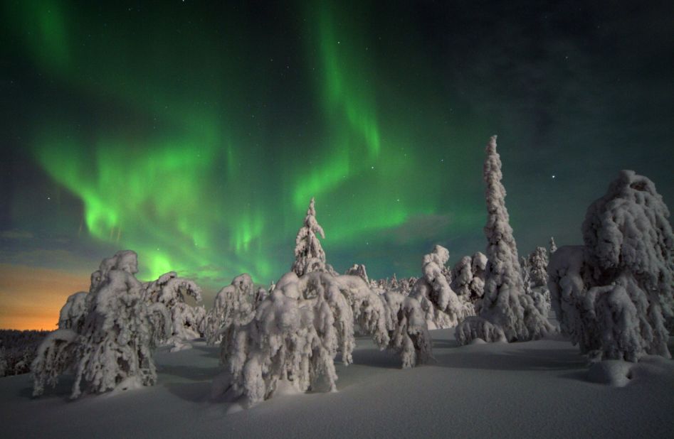 The Northern Lights above a snow-covered forest