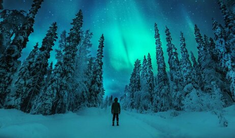 Man watching Northern Lights in a forest
