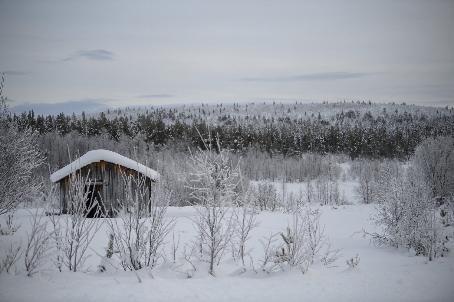 A small cabin in a vast snow-covered forest