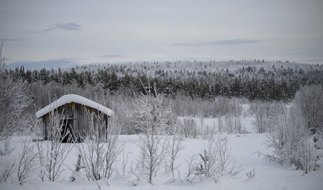 A small cabin in a vast snow-covered forest